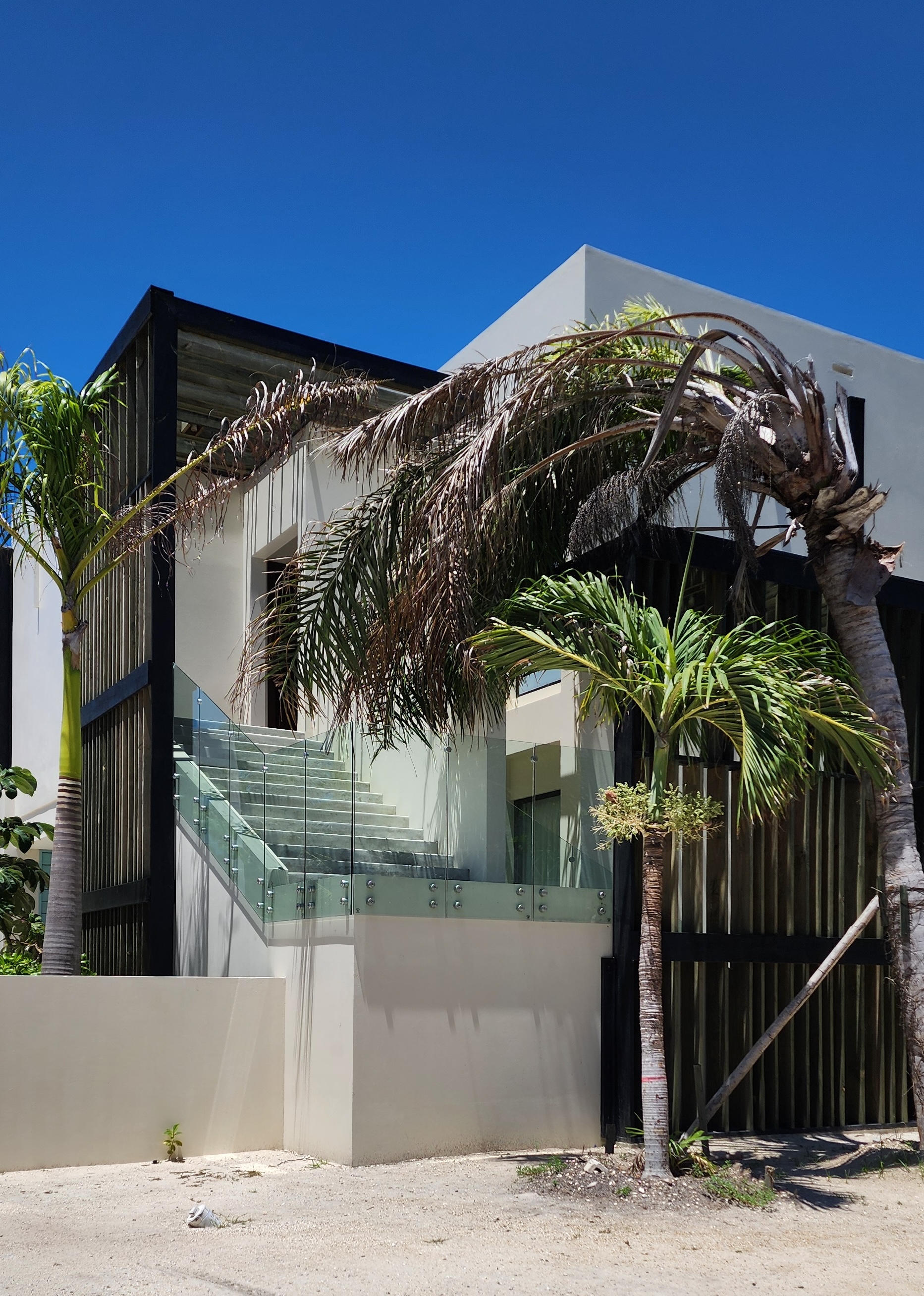 Modern Belize home with palm trees